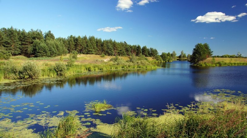 Голосование: какие «народные» места отдыха благоустроят в Мурманской области