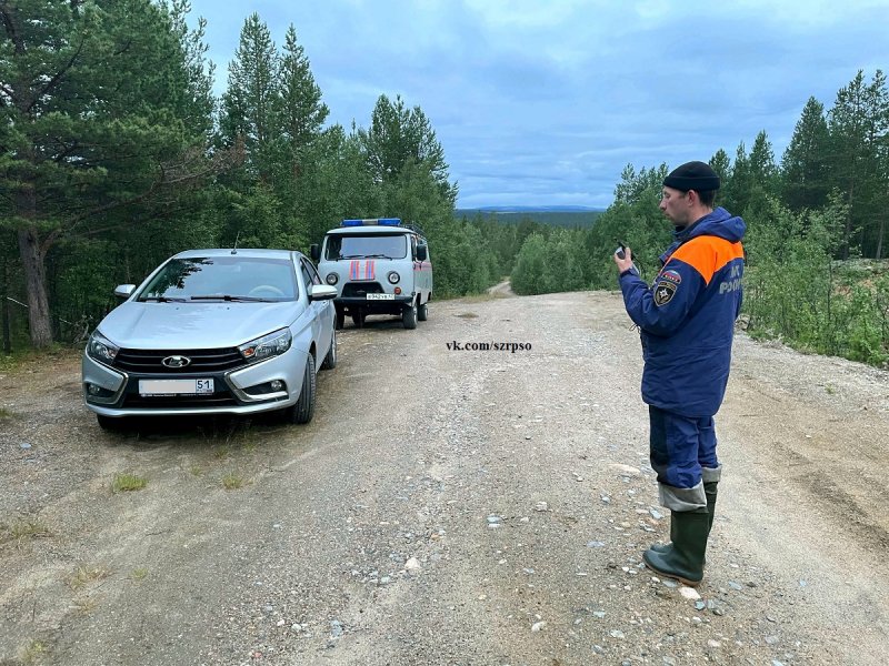Потерялись мужчина и женщина в лесу в Кольском районе