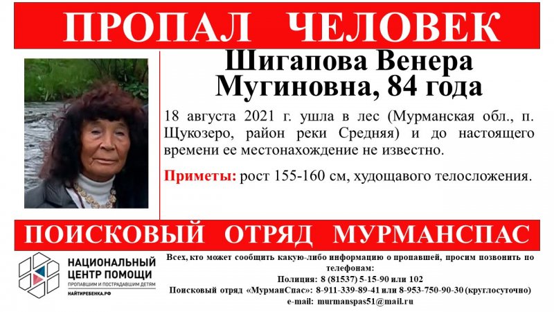 84-летнюю бабушку сутки ищут в лесу в районе Щукозера