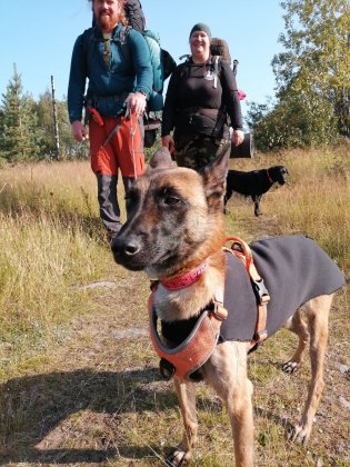 Ракету нашли в Кировске