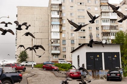 Пять детских и один спорткомлекс установят в центре Мурманска