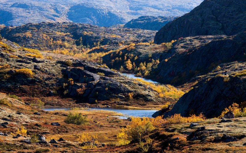 Выгодно можно провести отпуск в Заполярье благодаря кешбэку