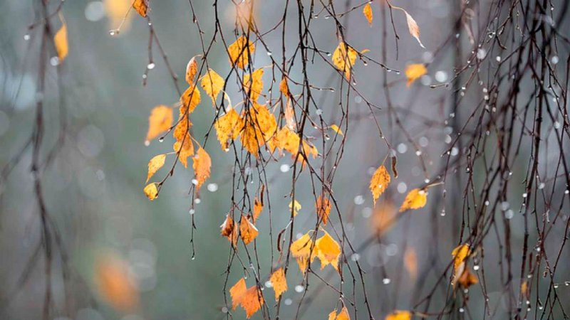 С понедельника серьезно испортится погода в Мурманской области