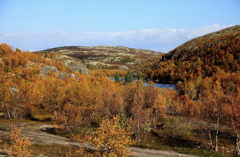 Сухую и маловетренную погоду обещают синоптики Заполярья