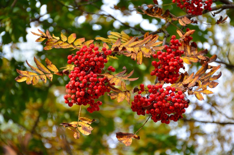 И снова до +15° потеплеет в Мурманске