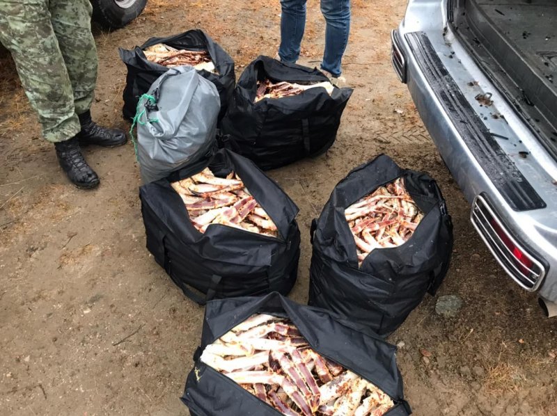 Браконьеры попытались скрыться от ФСБ в Кольском заливе
