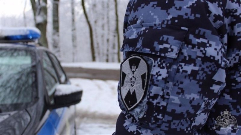 Сорвал рейс автобуса буйный пассажир в Мурманске
