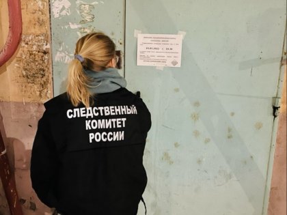 Убил в новогоднюю ночь брата в Североморске