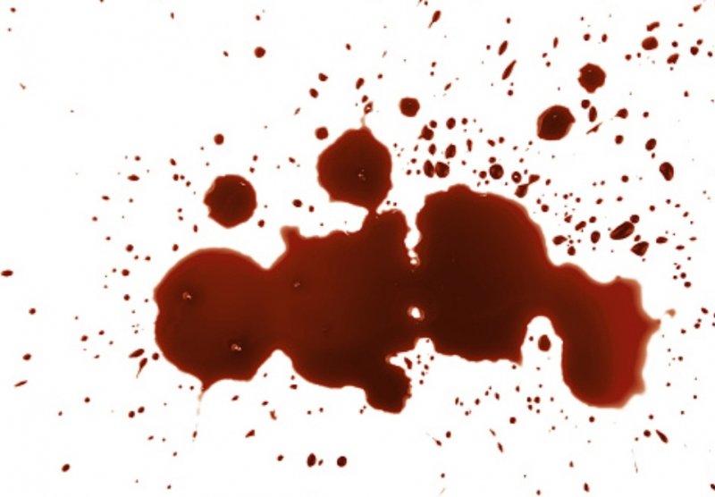 Из ревности забили до смерти двоих женщина и мужчина в Кольском районе