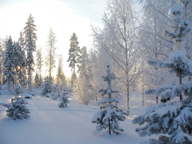 И снова до -28° похолодает в Мурманске
