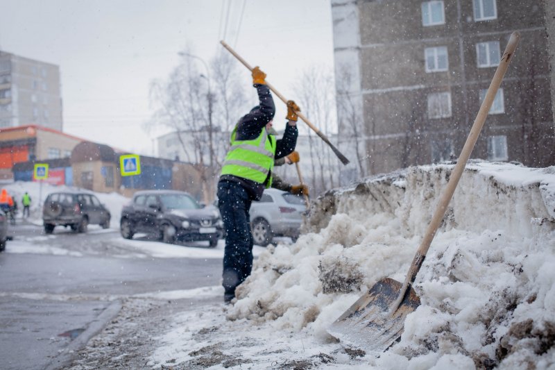 Для нуждающихся нашли работу в Мурманской области