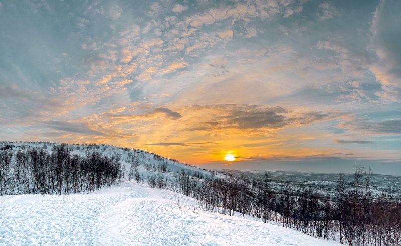 До +7° потеплеет в Мурманске