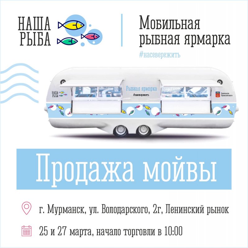 Торговать мойвой не везде будут на ярмарке «Наша рыба» в Мурманске