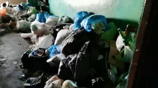 В свинарник превращают дом жители улицы Миронова