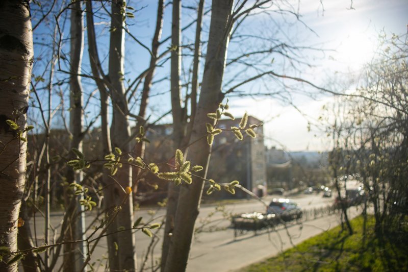 И снова +17° прогнозируют в Мурманске