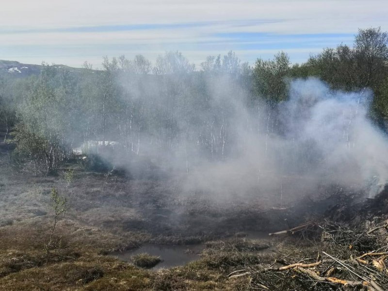 Торфяной пожар тушили в Никельском лесничестве