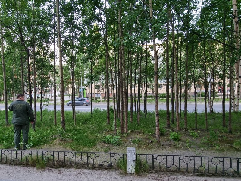 Задержан предполагаемый убийца ребенка в Мончегорске