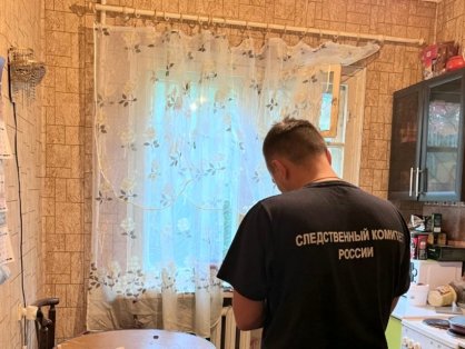 Убийца оставил свой мобильник на месте преступления в Мончегорске
