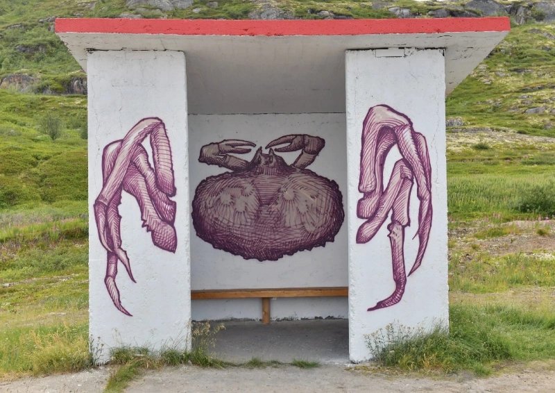 Гигантский краб «поджидает» на остановке в Териберке