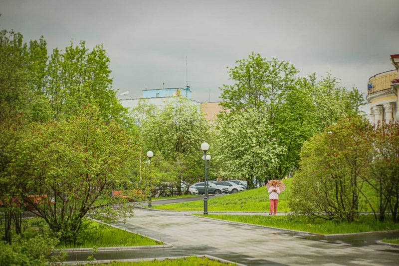 +25° - прогноз заполярных синоптиков