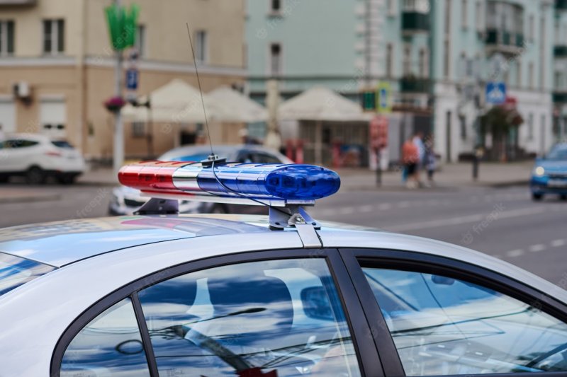 Повалил на землю и избил полицейского пьяный в Североморске