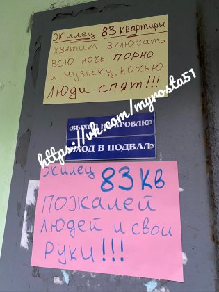 Вставить в рот кляп предложили игривым соседям жители дома в Росте