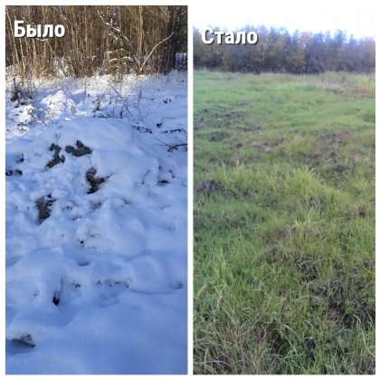 Свалку на земле сельхозназначения ликвидировали в Кольском районе