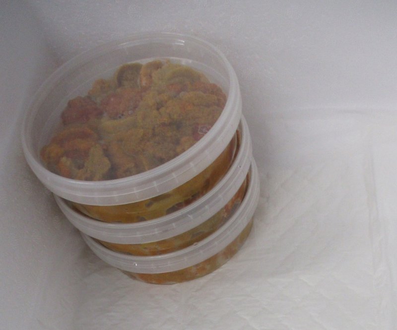 Корейцы отведают икру морского ежа из Мурманской области