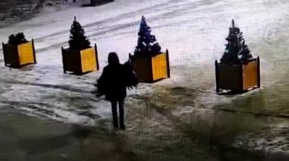 Новогодняя вредительница завелась в Коле