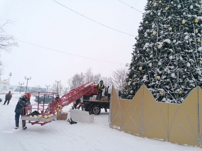 С главной городской елью попрощались жители Кировска