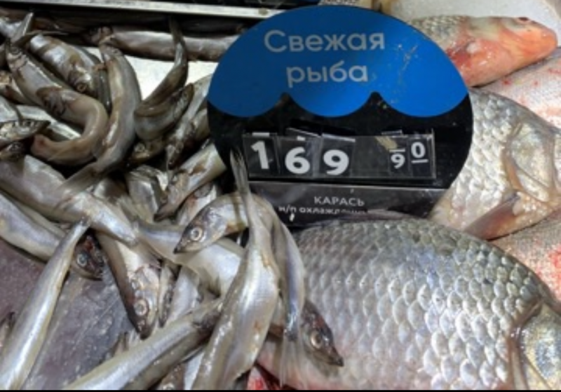 Первая в 2023 году мойва прибыла в Мурманск