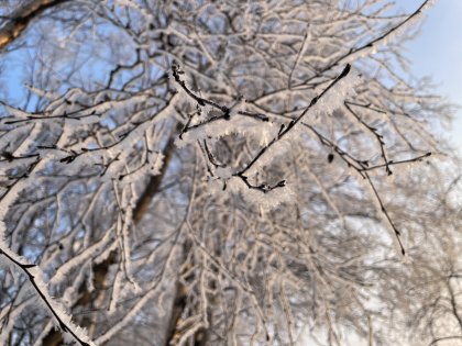 До -37° опустится температура воздуха в Мурманской области