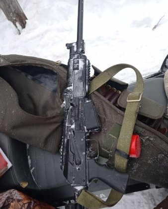 Убили лосей и разделали туши незаконно охотники в Мурманской области