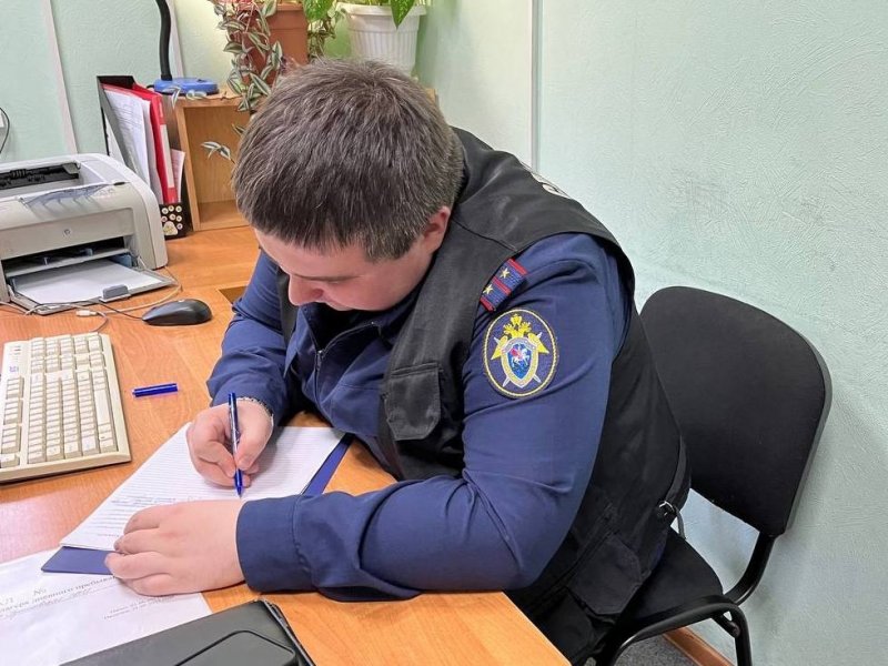Уголовное дело о халатности должностных лиц органов системы профилактики возбуждено в Кольском районе