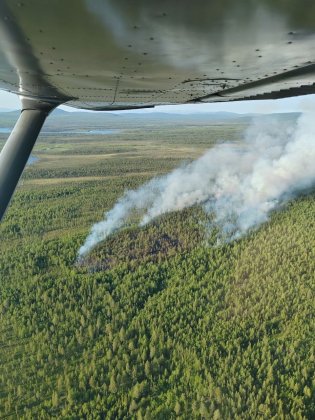 Обгорело 16 га земель лесного фонда за неделю в Мурманской области