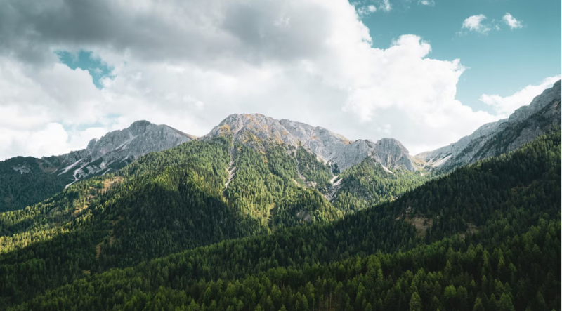Память олене-лыжных бригад увековечат на горе Пак