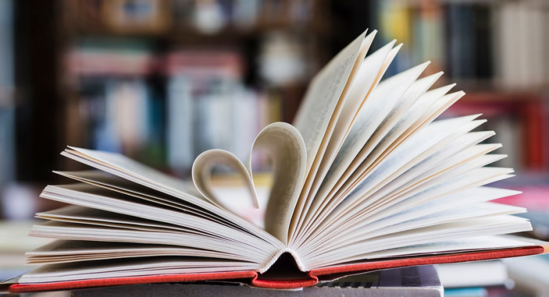 Книги для библиотек ЛНР собирают в Мурманске