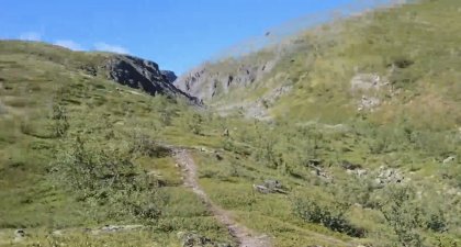 Накричал на медведей турист в Хибинах