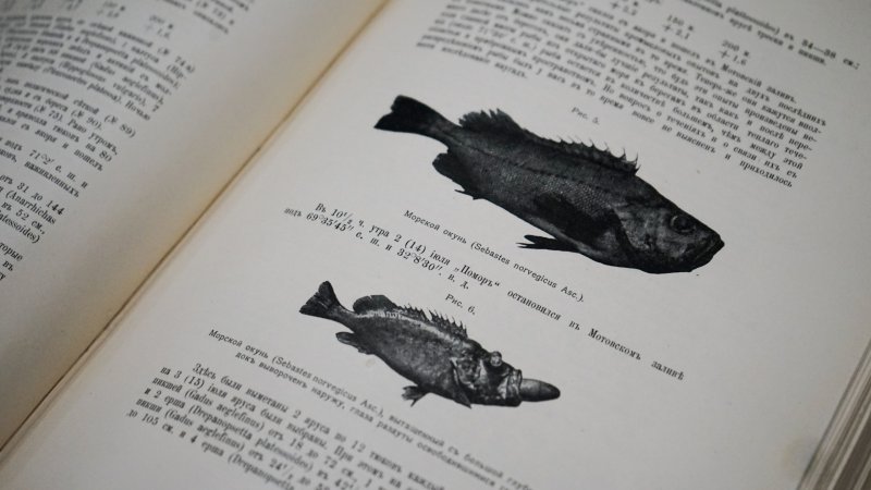 Реставрированы две редкие столетние книги о промысловом Мурмане