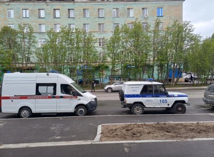 Стрелял из оружия из окна пьяный в Мурманске