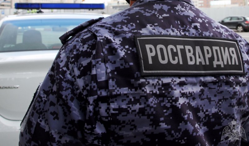 Буянили мужчины в дискоклубе и ТЦ на Кольском проспекте в Мурманске