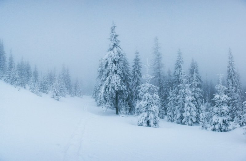 До -18° в середине недели в Мурманской области