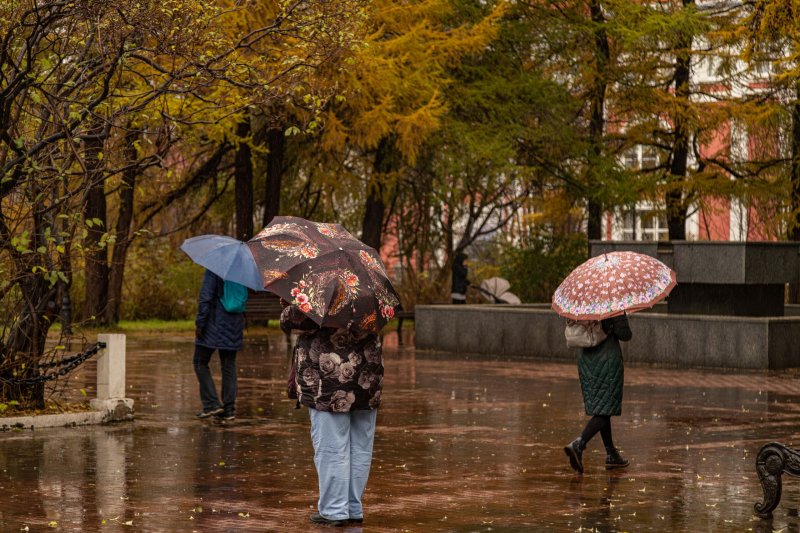 Грозы и сильный ветер омрачат жаркую неделю в Мурманской области
