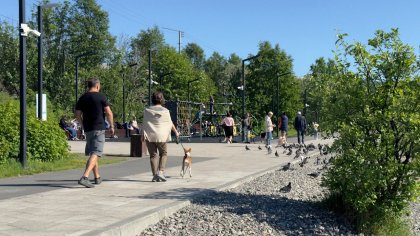 На 3° теплее нормы июнь в Мурманске