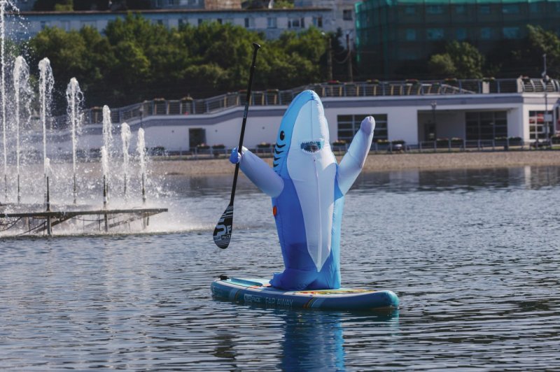 Акула преподала мастер-класс по сапбордингу в Мурманске