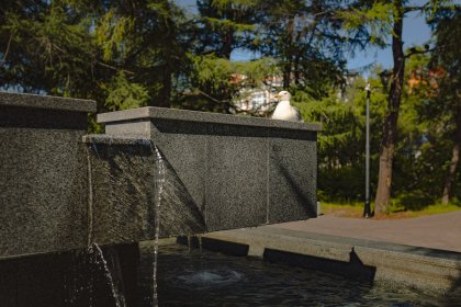 Жара не спадет в ближайшие дни в Мурманской области