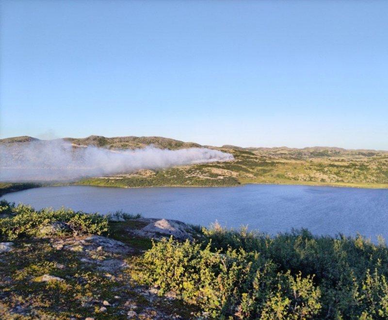 Горят леса региона: пожарные, добровольцы, спасатели работают без сна и отдыха