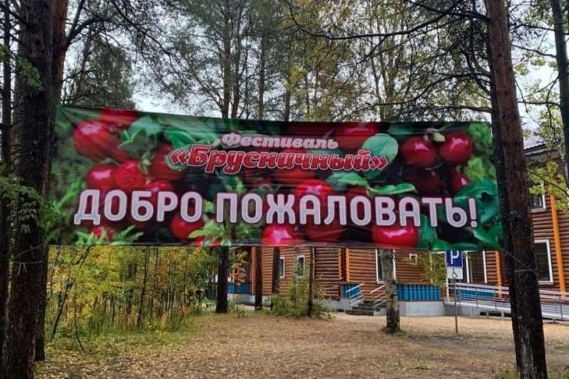 &quot;Брусничный&quot; фестиваль пройдет в Зеленоборском
