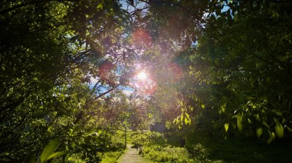 7 суточных рекордов тепла побиты в Мурманске за сентябрь