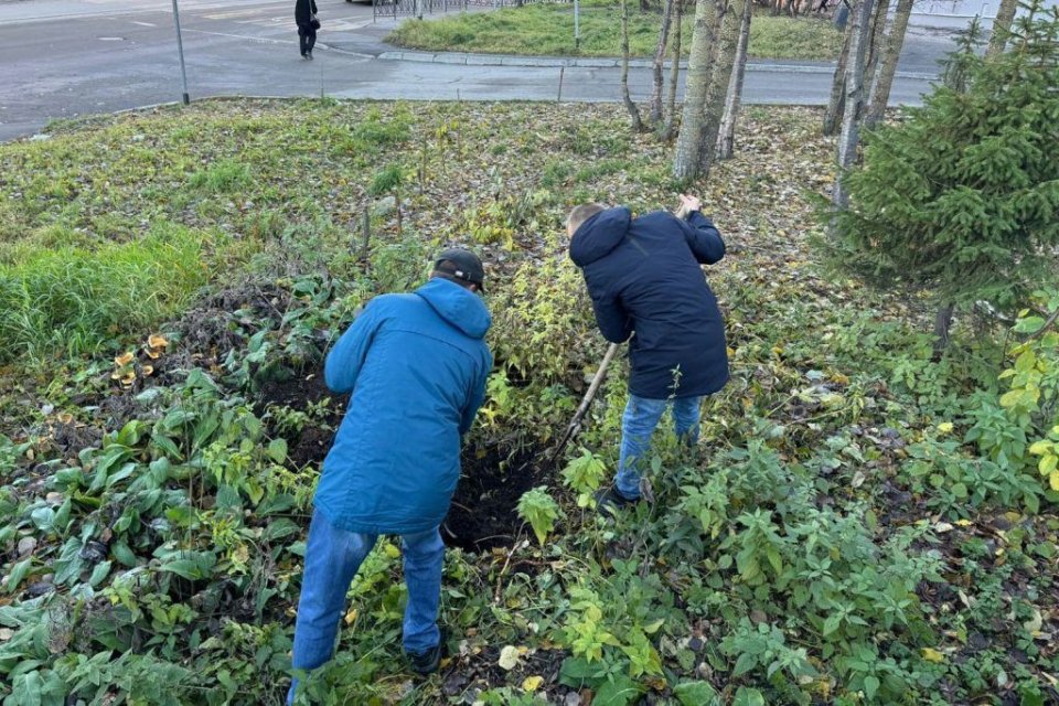 <p><img src="https://novosti-murmanskoy-oblasti.ru/uploads/posts/2024-11/1730442892_yb50ivz49jg.jpg" alt="" />В Мурманске осуждённые к принудительным работам приняли участие в благоустройстве территории храма Святого равноапостольного князя Владимира.</p>
<p>Сотрудники исправительного центра № 2 в рамках соглашения в области пробации организовали участие осуждённых в субботнике.<br /> К добровольческому мероприятию присоединились 11 осуждённых. Они пересадили ели, подмели дорожки, убрали прилегающую территорию к храму от листьев и мусора.</p>
<p>После завершения субботника настоятель храма Виталий Шмидт провел с осуждёнными беседу о традиционных для России религиях и поблагодарил всех за работу, отметив, что порядок и красота на территории храма будут радовать прихожан.</p>
<p><em>Фото: Мурманска епархия</em></p>